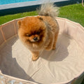 honden-zwembad-beige-botjes-80-cm-swim-essentials-5